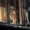 Dishonored 耻辱 [DLC 解锁] [凝聚力] [DLC Unlock] [Steam] [Windows & SteamOS]