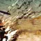 Steel Division 2 钢铁之师 2 [DLC 解锁] [凝聚力] [DLC Unlock] [Steam] [Windows & SteamOS]