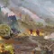 Sudden Strike 4 突袭 4 [DLC 解锁] [凝聚力] [DLC Unlock] [Steam] [Windows & SteamOS & macOS]