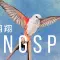 Wingspan 展翅翱翔 [DLC 解锁] [凝聚力] [DLC Unlock] [Steam] [Windows & SteamOS & macOS]